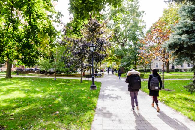Two students walk away on a path through the Sir Dan's quad