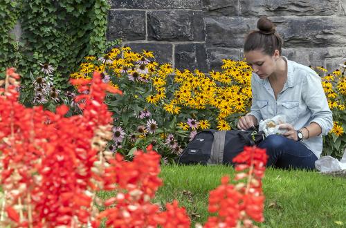 Woman sitting on grass in garden reading