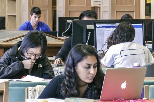 Four students studying in library