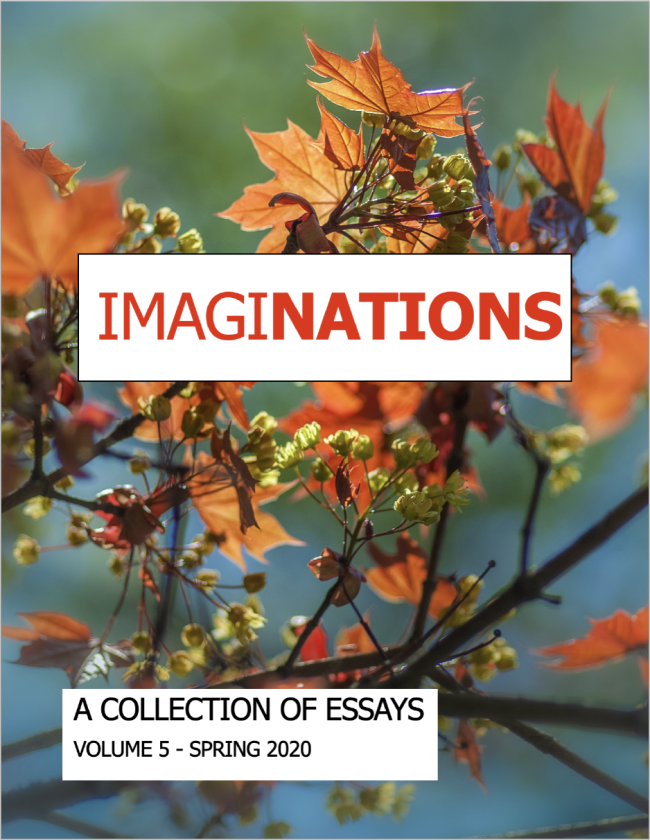 ImagiNATIONS A Collection of Essays Vol. 5