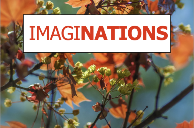 ImagiNATIONS A Collection of Essays Vol. 5