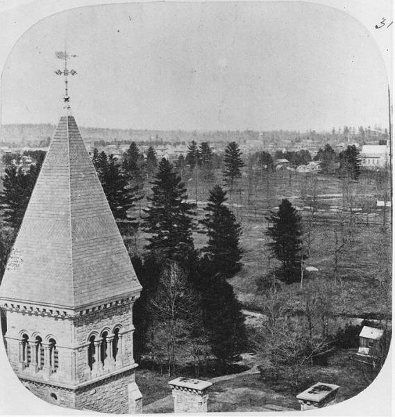 Top part of a tower, trees, distant building