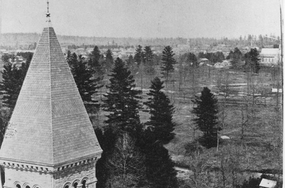 Top part of a tower, trees, distant building