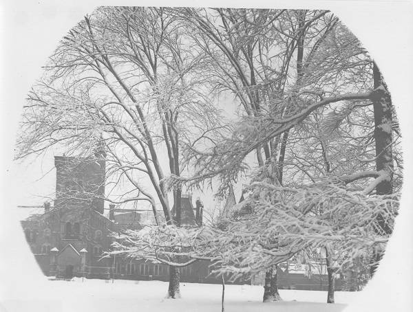 snow-covered trees with University College in background