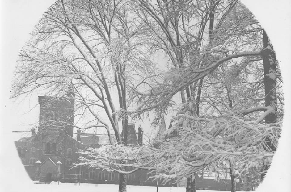 snow-covered trees with University College in background