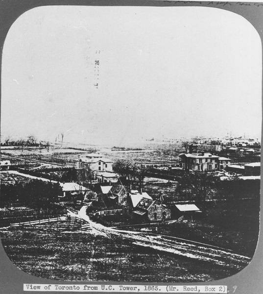 Houses and fields
