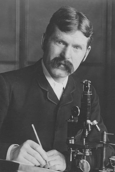 Ramsay Wright with a microscope and pen