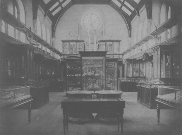Museum including display cases and windows