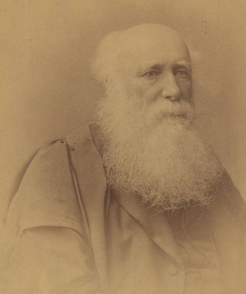 Man with white hair and beard, wearing academic robe