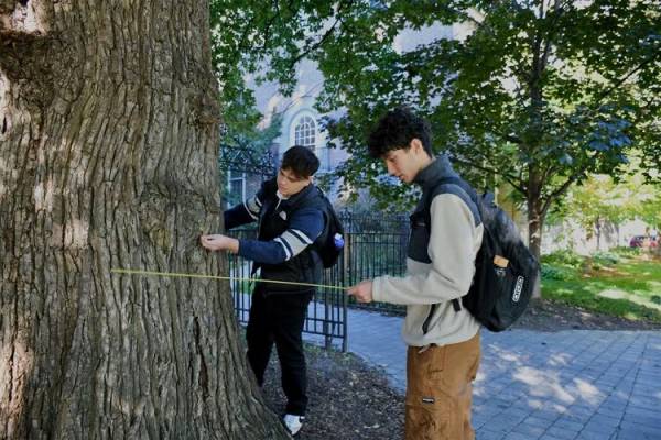 Two students measuring a tree