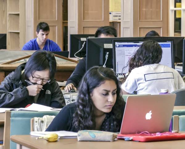 Four students studying in library