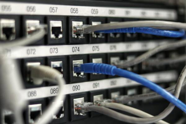 Network cables plugged into a server
