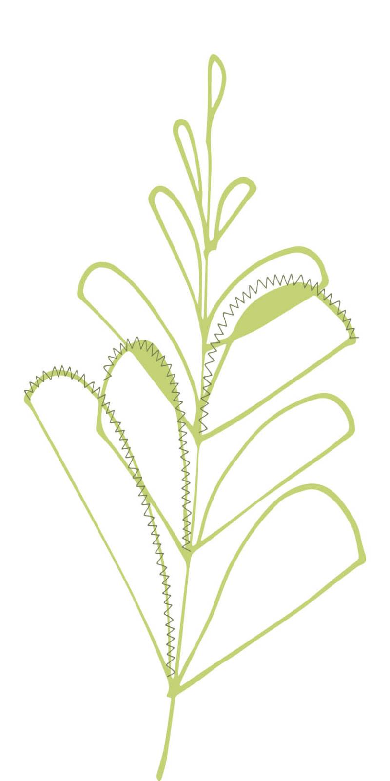 illustrative outline of a plant